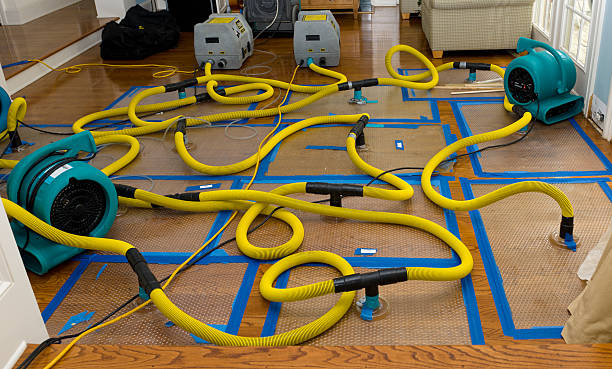 Professional Burst Pipe Water Damage technician working in Pleasantville, NJ